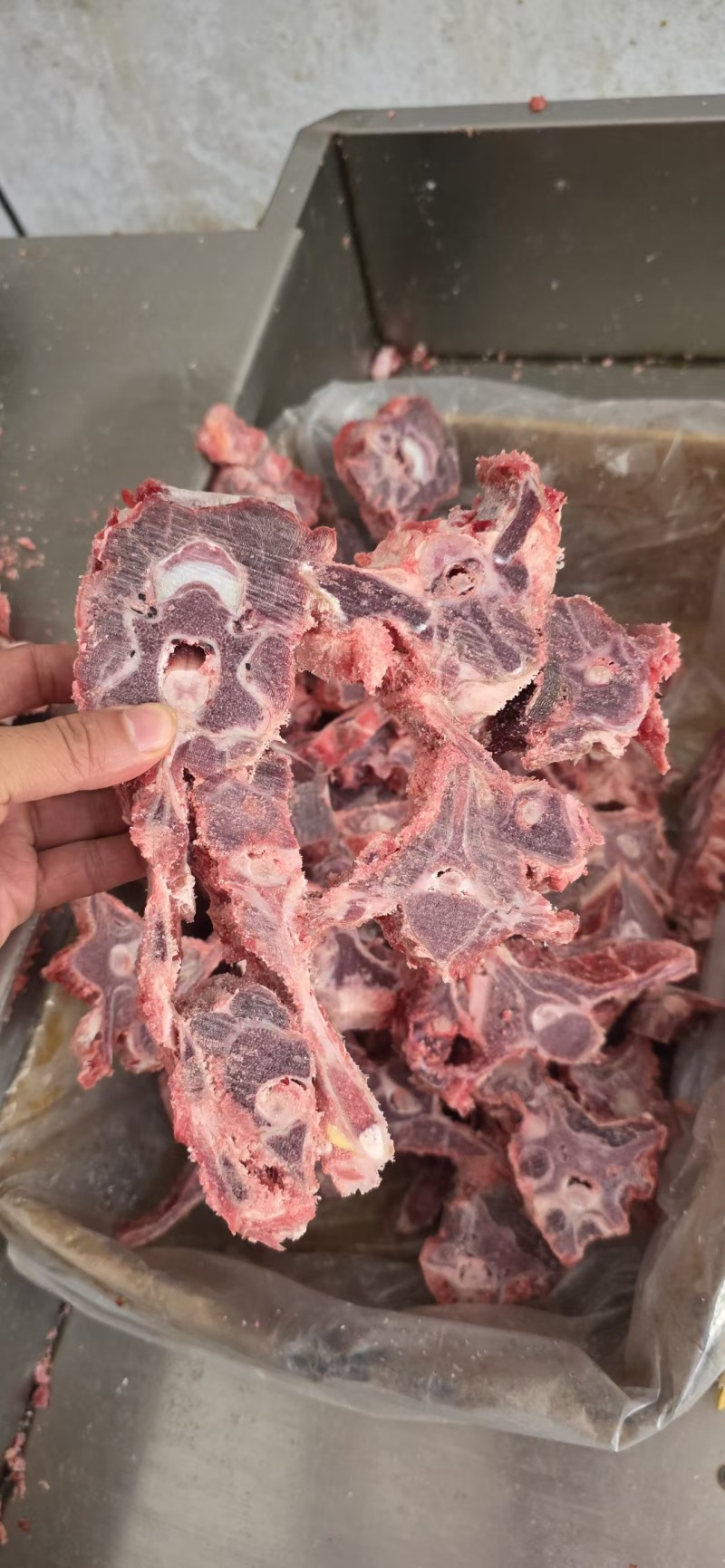 多肉羊蝎子，羊蝎子火锅专用。开箱实拍，爆款推荐，几块一斤
