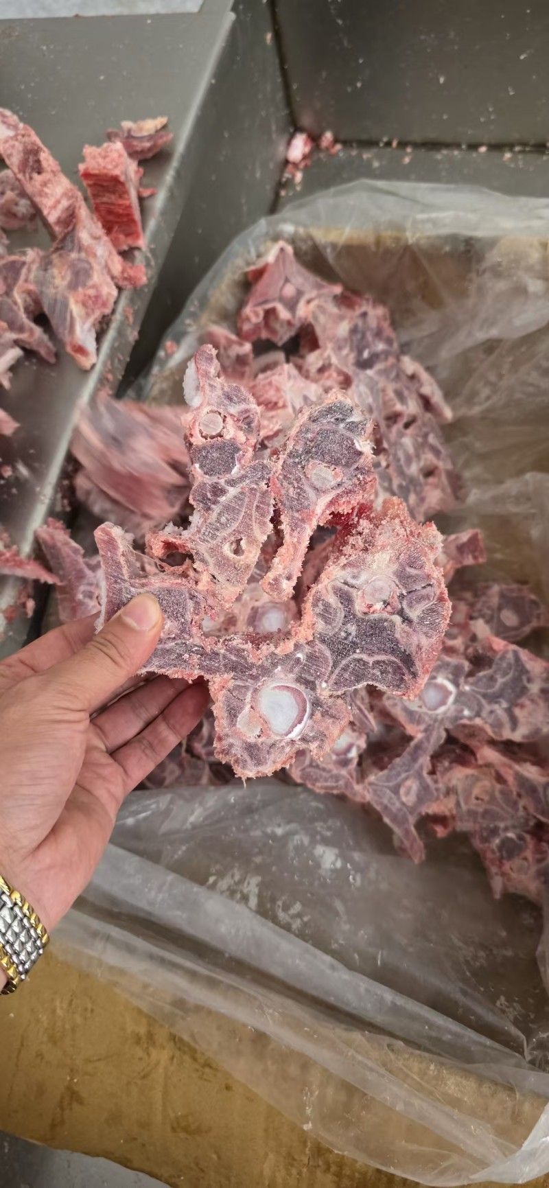 多肉羊蝎子，羊蝎子火锅专用。开箱实拍，爆款推荐，几块一斤