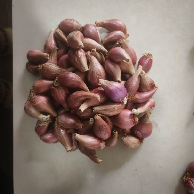 云南各种食品葱头，种植本地红葱头，铁杆红葱头
