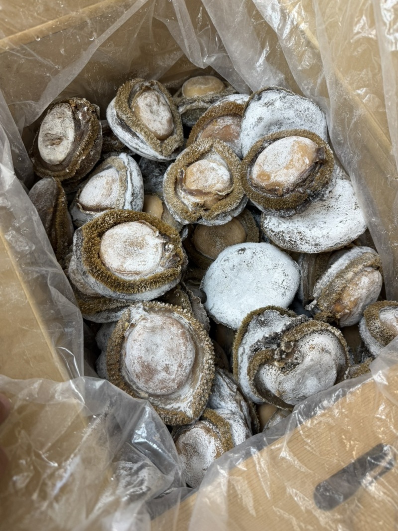 鲍鱼，干鲍，溏心鲍澳洲鲍，北海道鲍鱼全规格鲍鱼