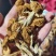 【精品】滑子菇产地直销保质保量对接全国电视超市市场