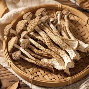 【精品】鹿茸菇干产地直销保质保量对接全国批发一件代发