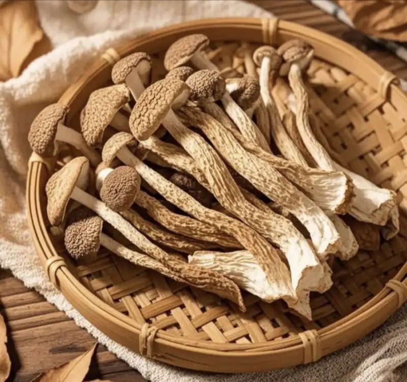【精品】鹿茸菇干产地直销保质保量对接全国批发一件代发