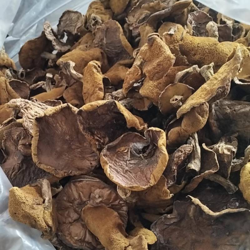【精品】松蘑产地直销价格美丽对接全国发货电商一件代发