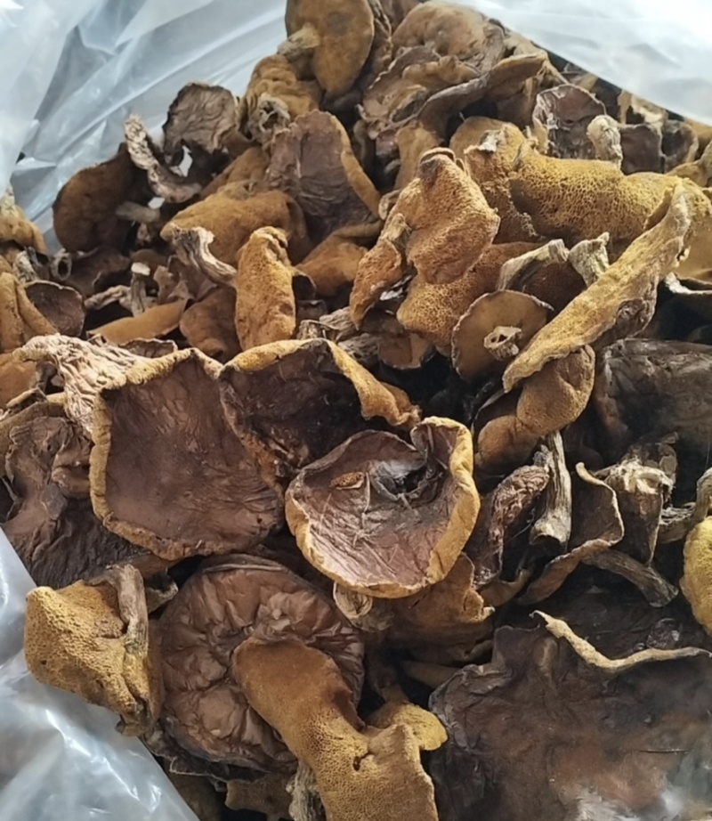 【精品】松蘑产地直销价格美丽对接全国发货电商一件代发