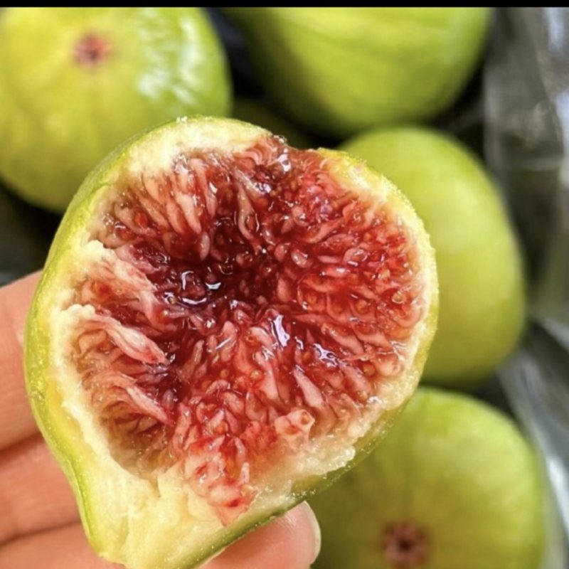 正宗威海青皮无花果源产地直发软糯香甜应季无花果