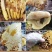 東飞野生蜂蜜
