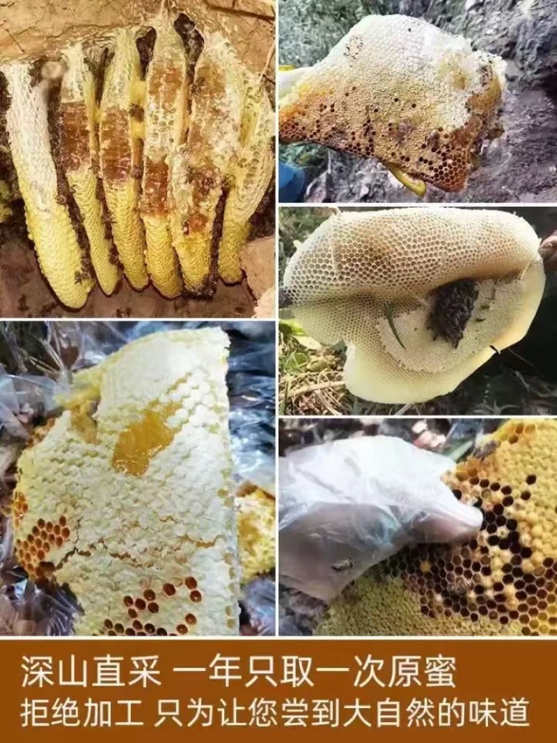 東飞野生蜂蜜