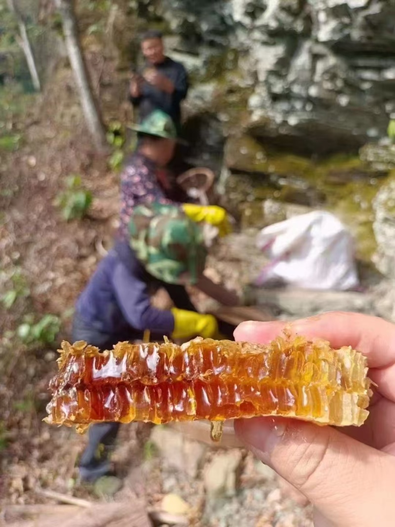 東飞野生蜂蜜