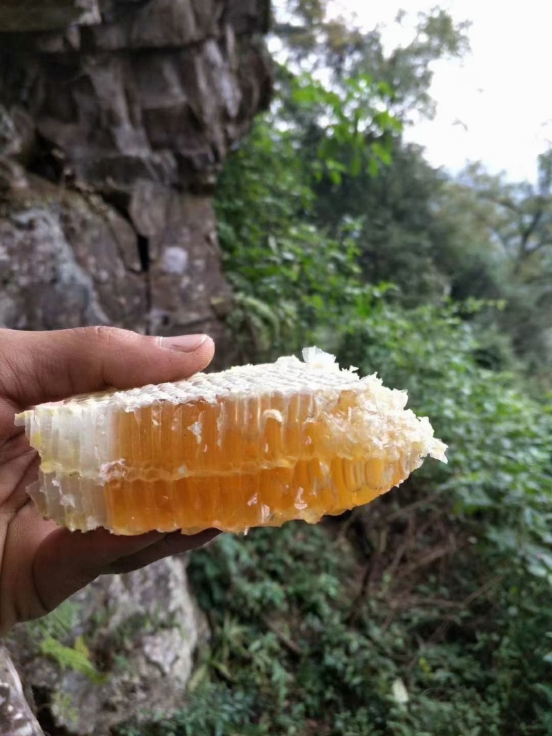 東飞野生蜂蜜