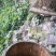 東飞野生蜂蜜