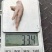 922B凤爪平均34.35左右，有意私我