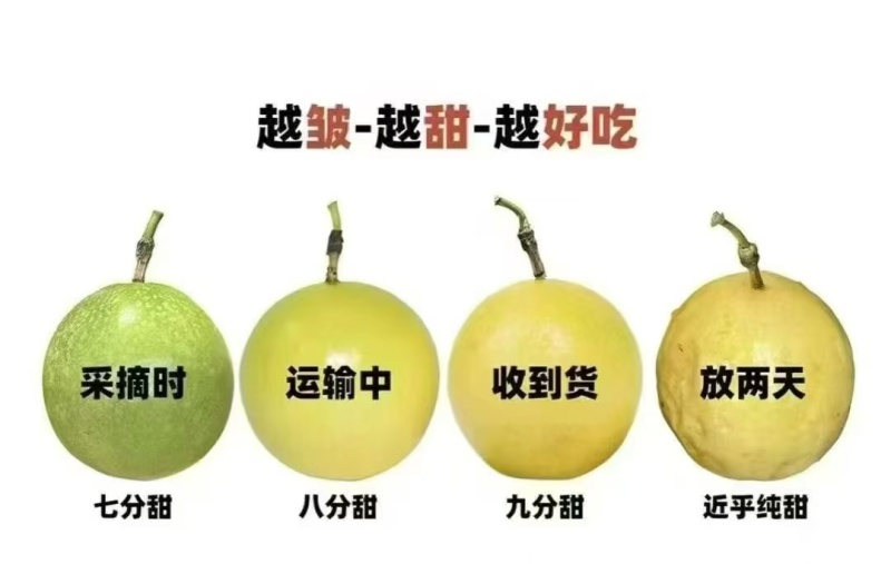 云南高山亲蜜9号百香果