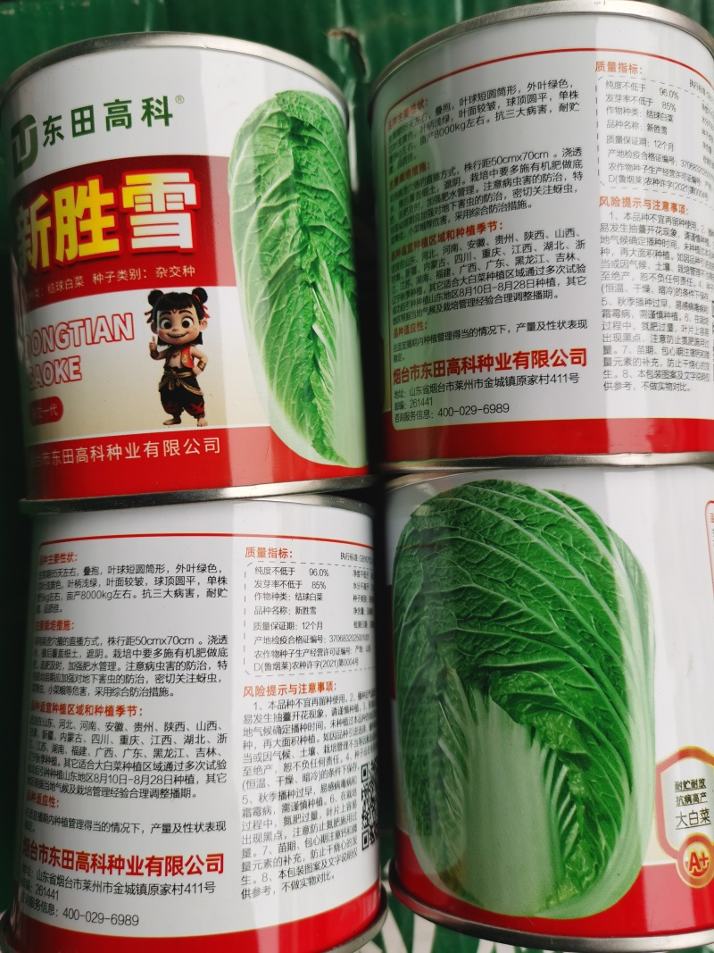 改良青杂三号50g/桶精品大白菜品种