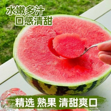 陕西美都无籽麒麟西瓜批发零售供应超市水果店拖板车等