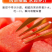 陕西美都无籽麒麟西瓜批发零售供应超市水果店拖板车等