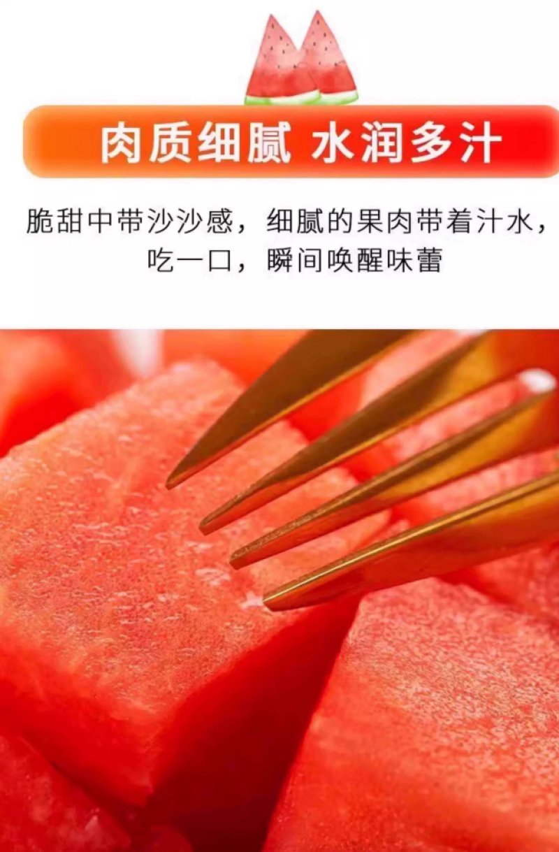 陕西美都无籽麒麟西瓜批发零售供应超市水果店拖板车等