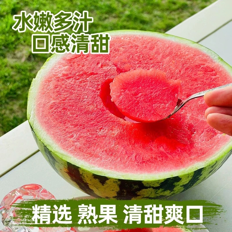 陕西美都无籽麒麟西瓜批发零售供应超市水果店拖板车等