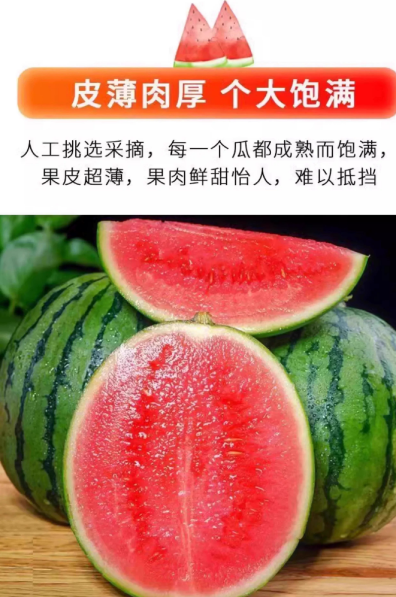 陕西美都无籽麒麟西瓜批发零售供应超市水果店拖板车等