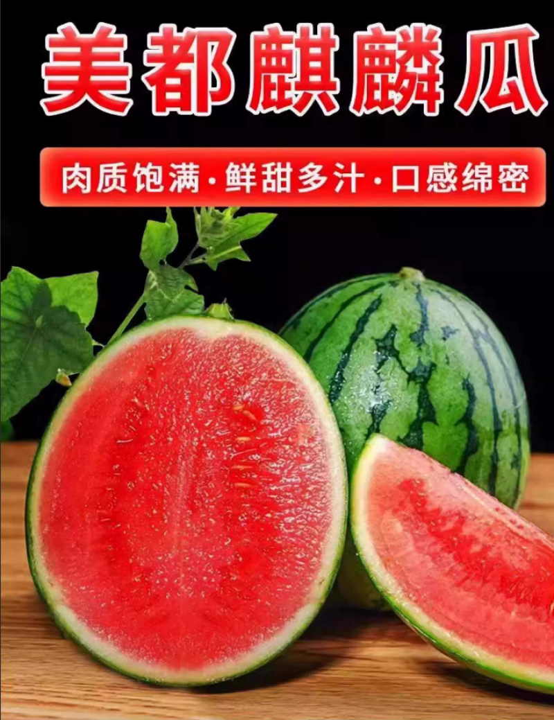 陕西美都无籽麒麟西瓜批发零售供应超市水果店拖板车等