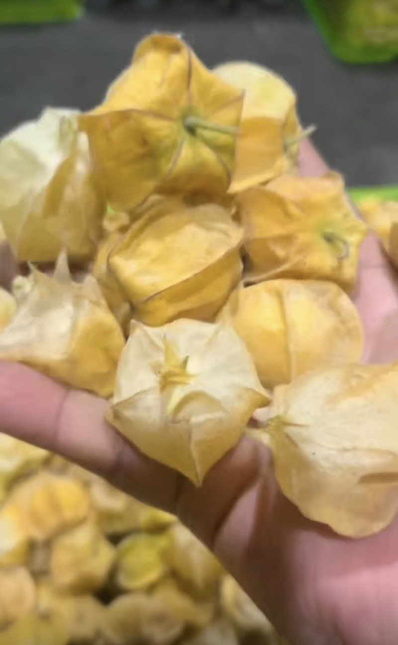 东北菇娘果灯笼果支持一件代发