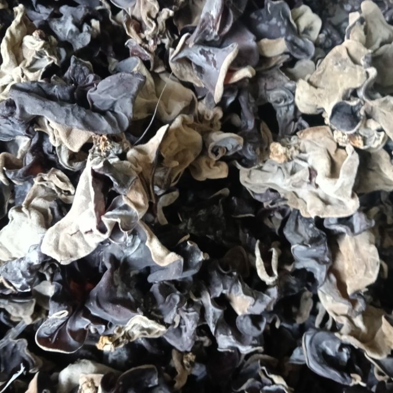 精品二茬毛木耳产地直销一件代发量大从优