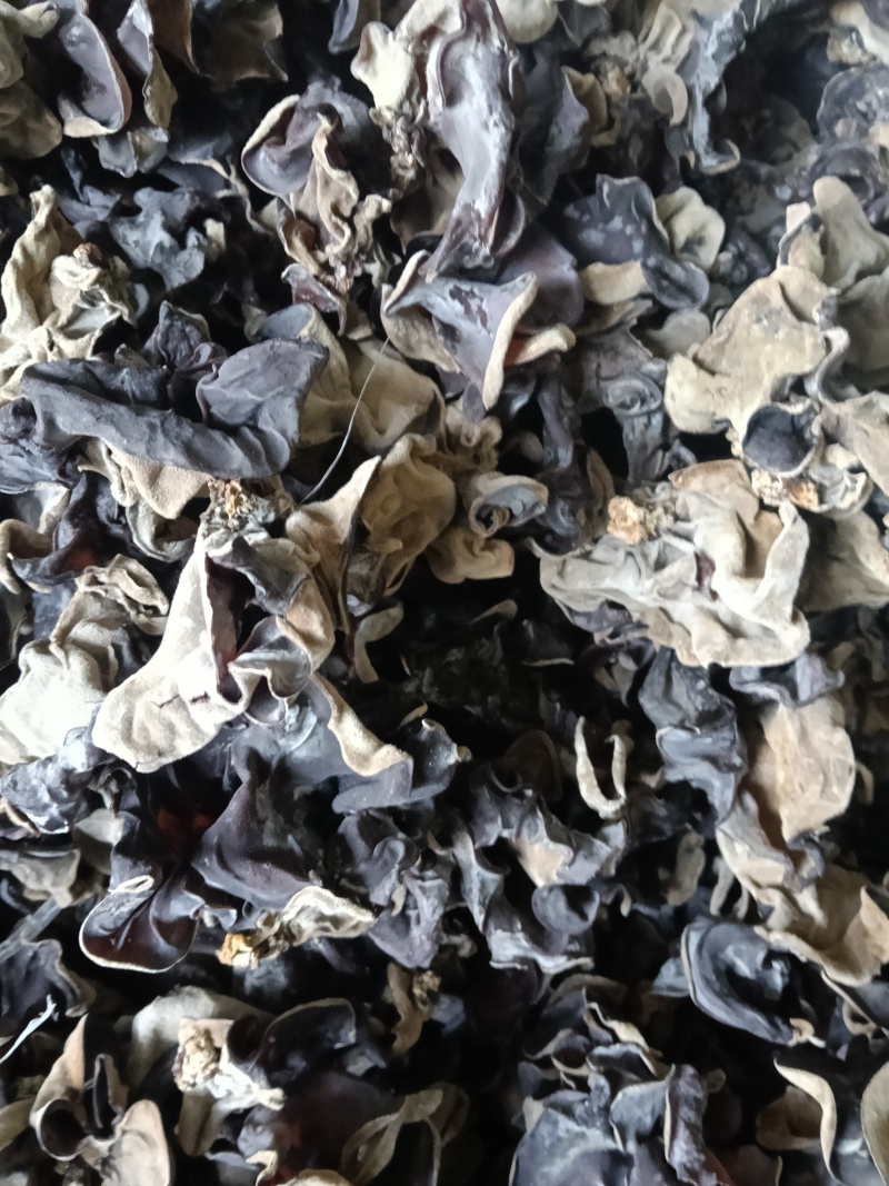 精品二茬毛木耳产地直销一件代发量大从优
