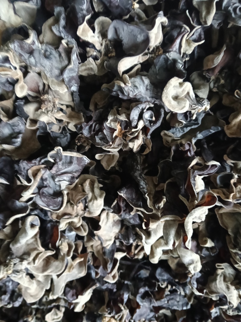 精品二茬毛木耳产地直销一件代发量大从优