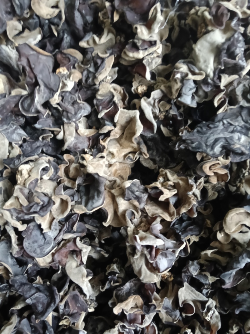 精品二茬毛木耳产地直销一件代发量大从优