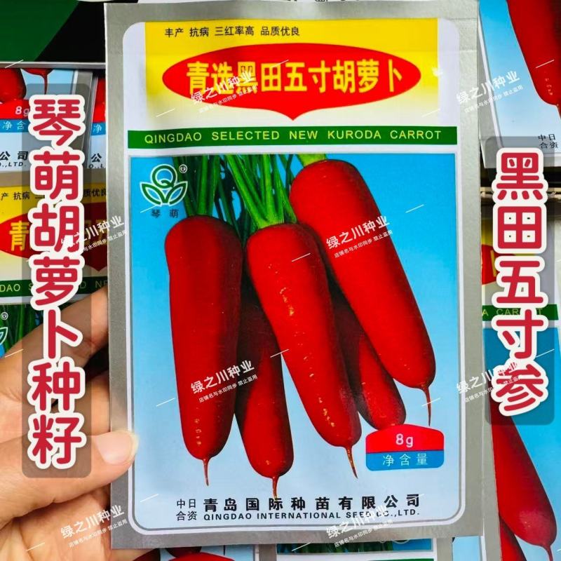 琴萌青选黑田五寸胡萝卜种子国际种苗橙红色五寸参胡萝卜种子