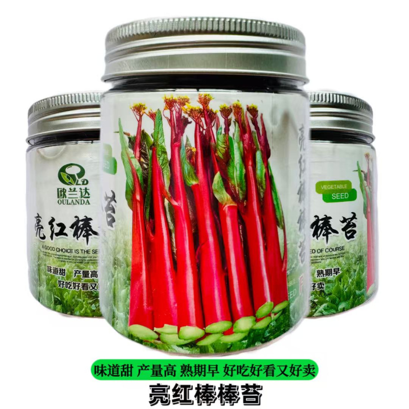 亮红棒棒苔红菜苔种子甜脆高产高熟期早菜农**抗病耐寒无蜡