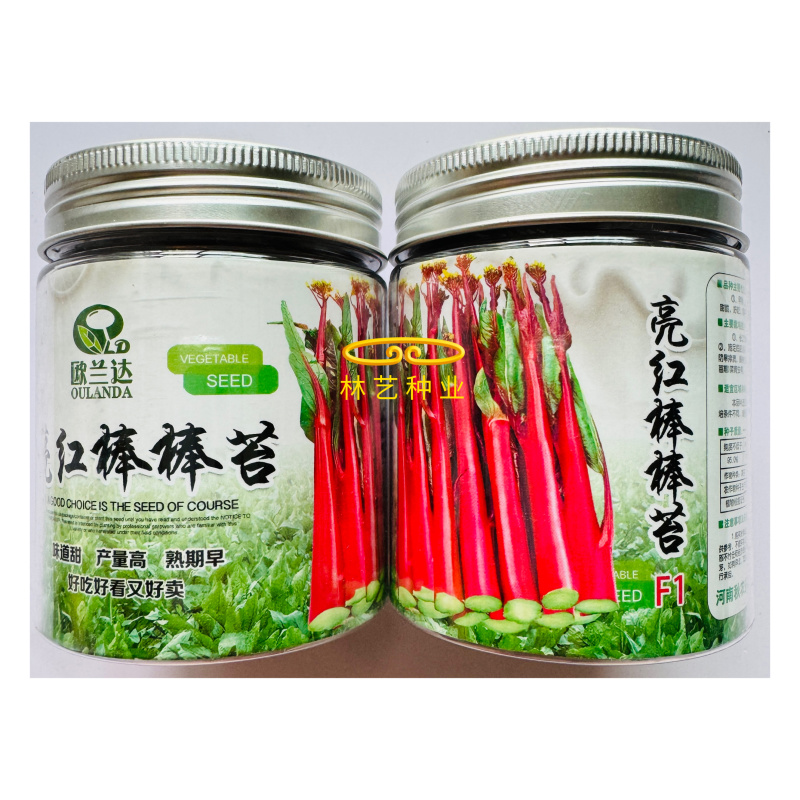 亮红棒棒苔红菜苔种子甜脆高产高熟期早菜农**抗病耐寒无蜡