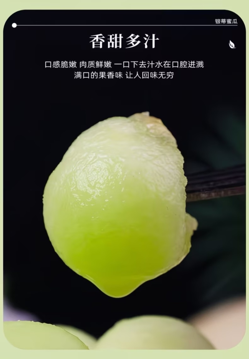 正宗民勤头茬沙漠银帝白兰瓜软糯多汁产地直发