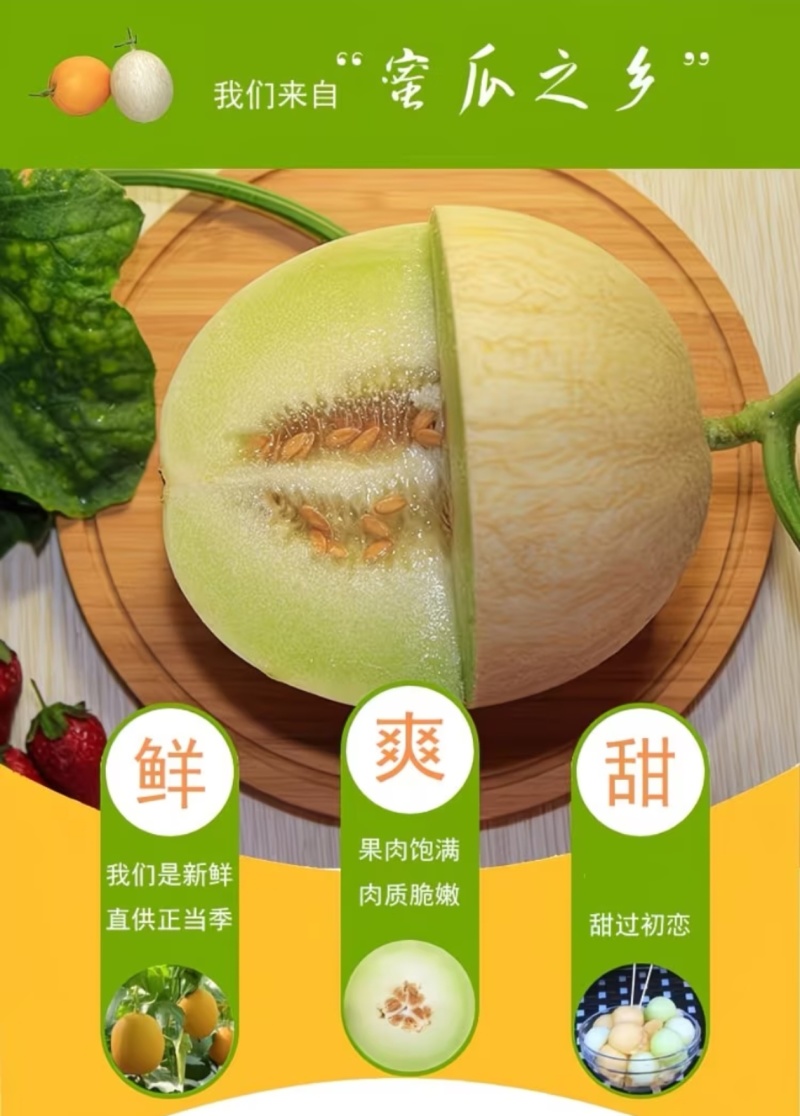 正宗民勤头茬沙漠银帝白兰瓜软糯多汁产地直发