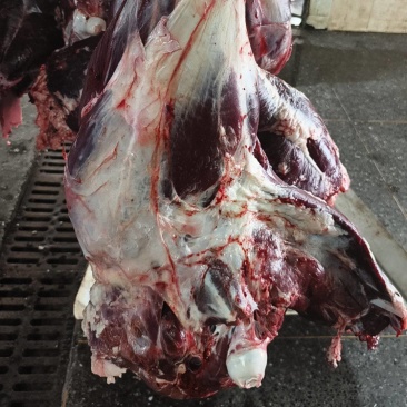 鸵鸟腿肉