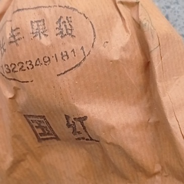 黄冠梨