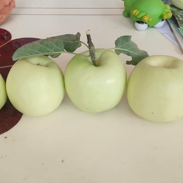 华硕苹果纸袋还没脱袋金果