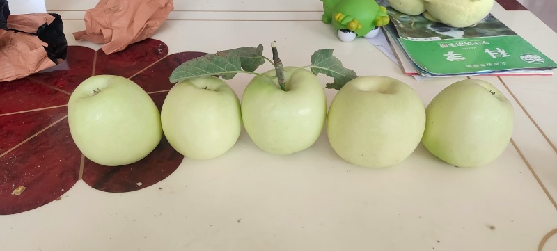 华硕苹果纸袋还没脱袋金果