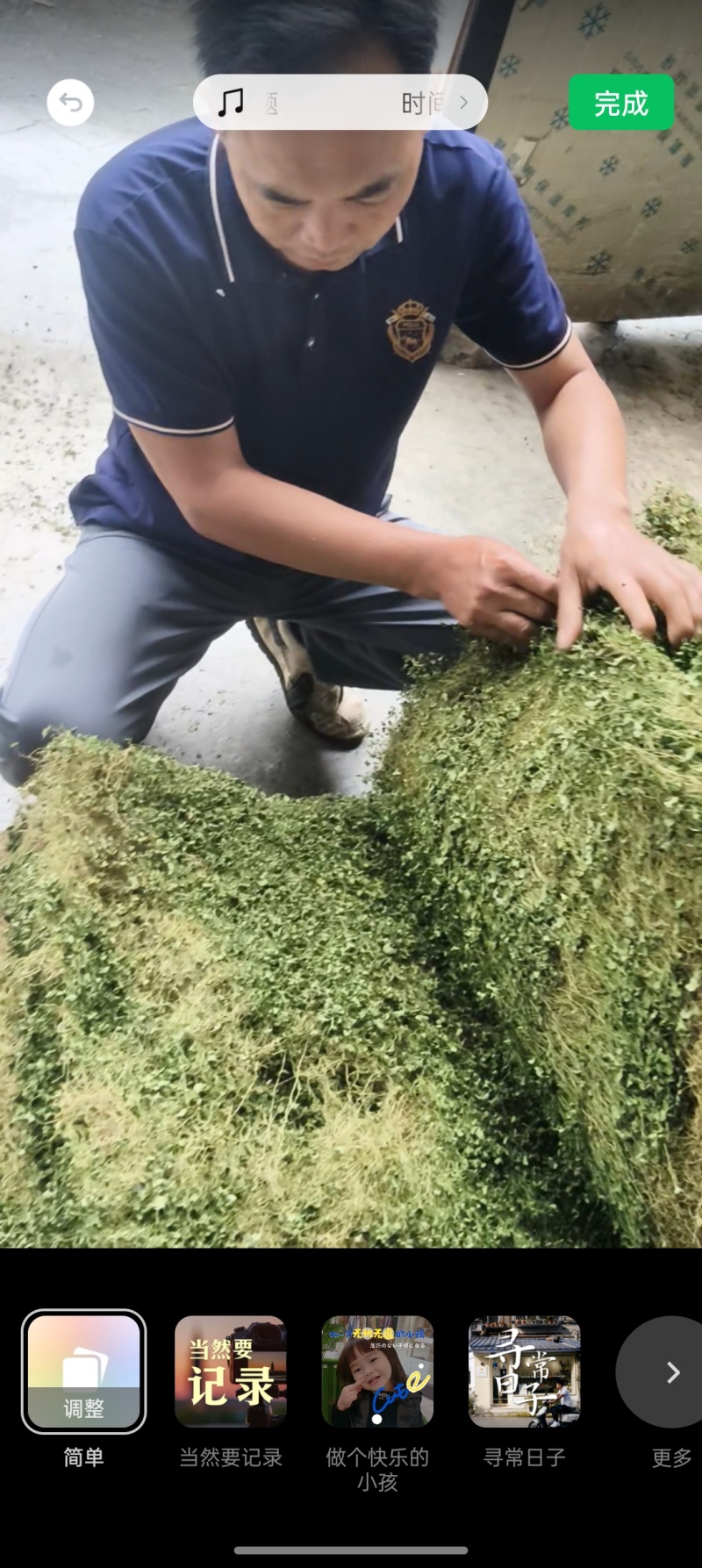 马蹄金，小叶子金钱草，金钱草，铜线草