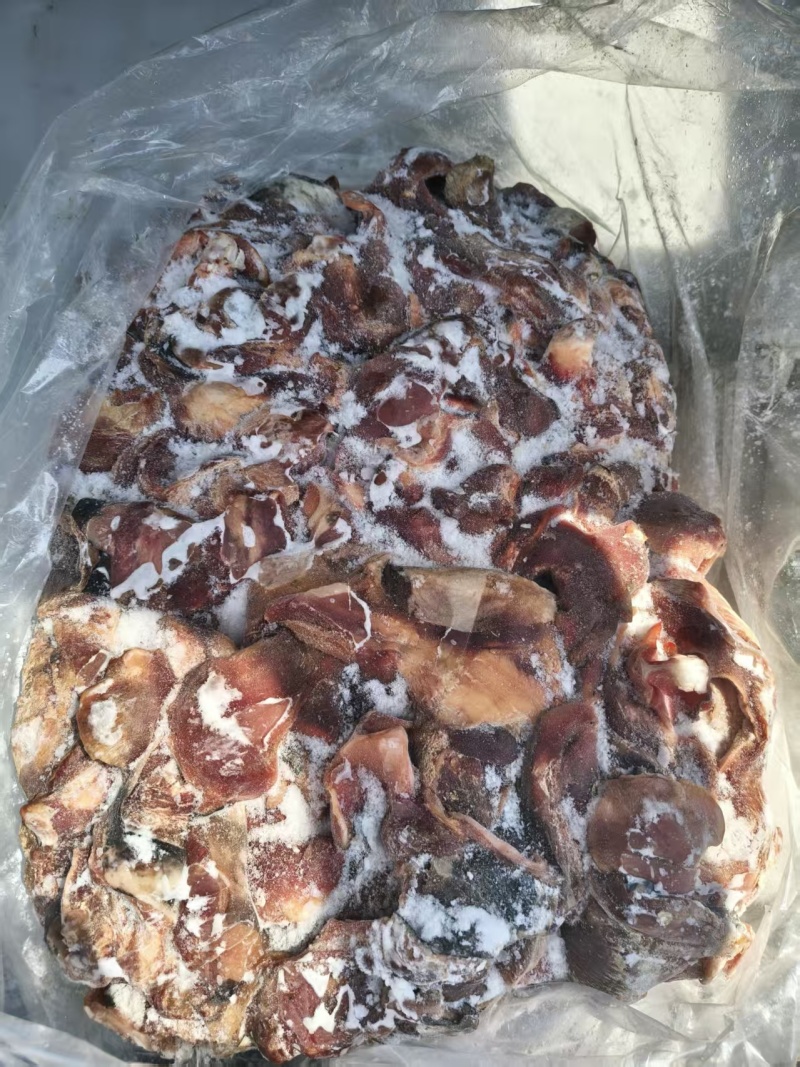 马碎肉马脸附带肉嘴唇肉