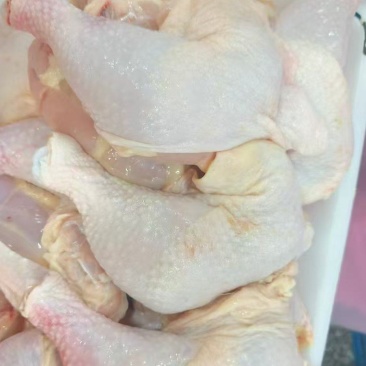 0549二级肉鸡排腿