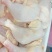 0549二级肉鸡排腿