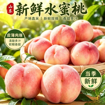 蒙阴蜜桃代收代办，电商代发欢迎合作