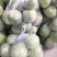 精品陆地甜瓜，口感好，个头大，卖相好！量大的很！