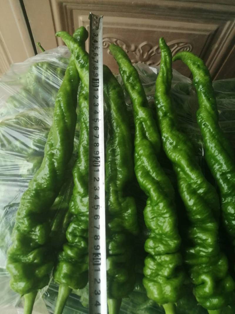 泡椒