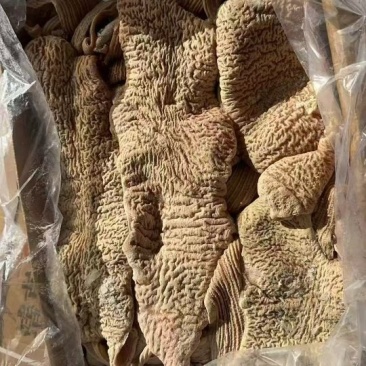 牛大肠
