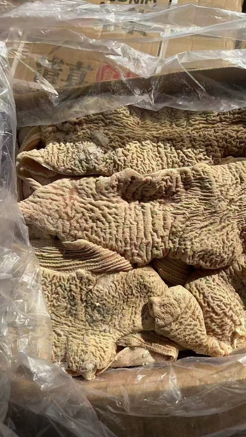 牛大肠