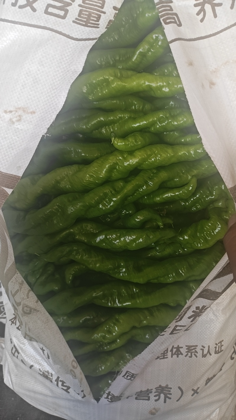 鲜辣椒