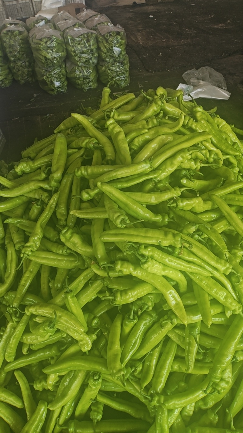 鲜辣椒