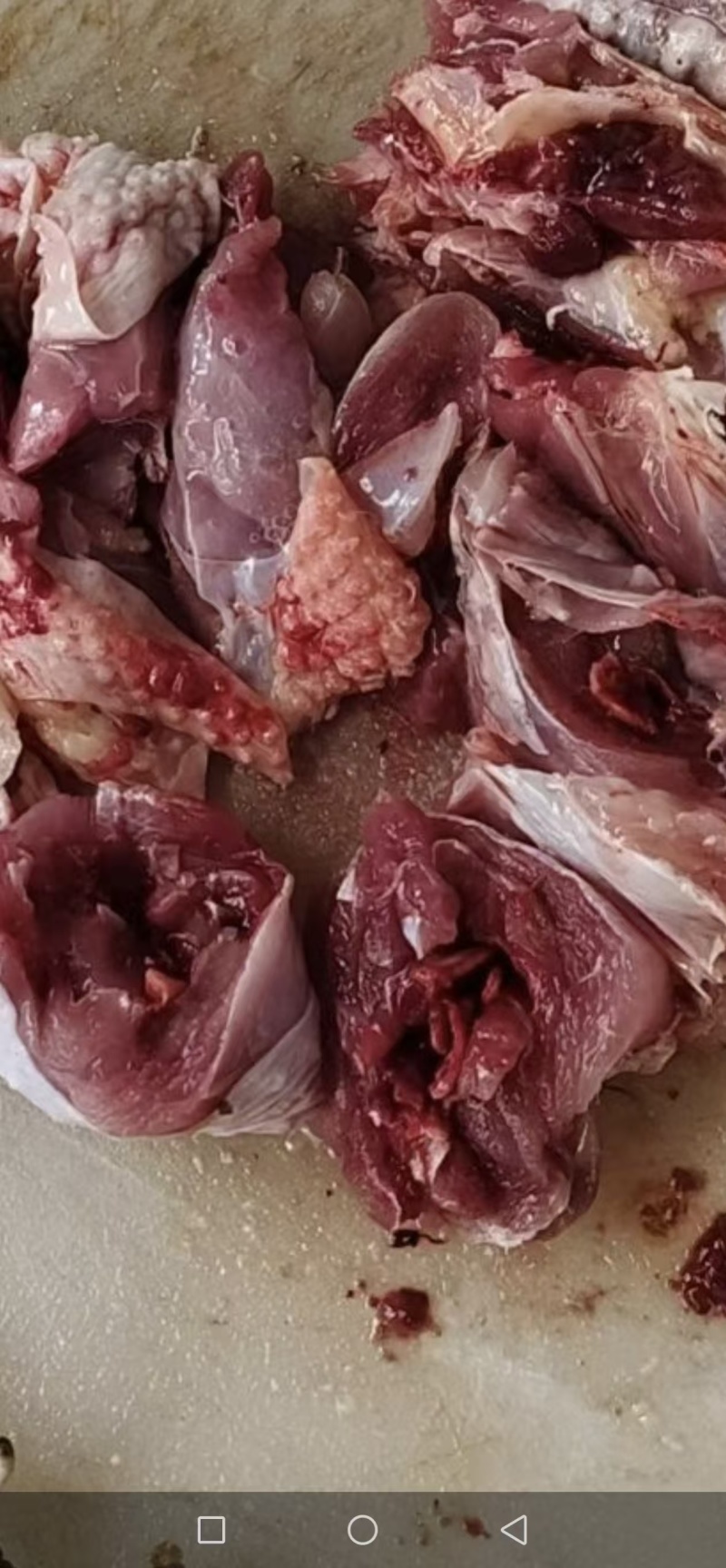 改良三色腿